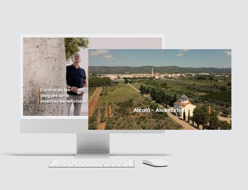 Video institucional Ayuntamiento de Alcalà-Alcossebre